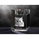 araña de cristal con el gatto, recuerdo, decoración, edición limitada, ArtDog