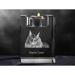 Maine Coon, lustre en cristal avec un chat, souvenir, décoration, édition limitée, ArtDog