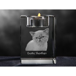 Exotic shorthair, lampadario di cristallo con il gatto, souvenir, decorazione, in edizione limitata, ArtDog