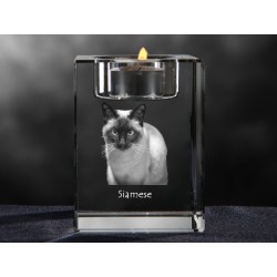 Siamois (chat), lustre en cristal avec un chat, souvenir, décoration, édition limitée, ArtDog