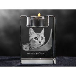 American shorthair, lustre en cristal avec un chat, souvenir, décoration, édition limitée, ArtDog