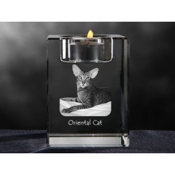 Oriental shorthair, lustre en cristal avec un chat, souvenir, décoration, édition limitée, ArtDog