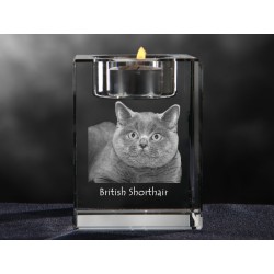 Kot brytyjski krótkowłosy - kryształowy świecznik, wyjątkowy prezent, pamiątka, dekoracja!
