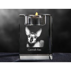 Cornish Rex, lustre en cristal avec un chat, souvenir, décoration, édition limitée, ArtDog