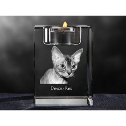 Devon rex, lampadario di cristallo con il gatto, souvenir, decorazione, in edizione limitata, ArtDog
