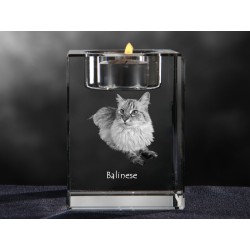 Balinais, lustre en cristal avec un chat, souvenir, décoration, édition limitée, ArtDog