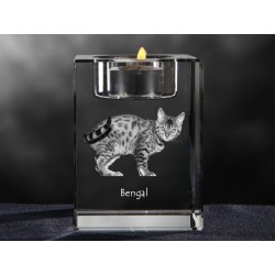 Bengal, lampadario di cristallo con il gatto, souvenir, decorazione, in edizione limitata, ArtDog