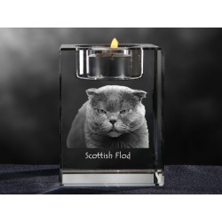 Scottish Fold, araña de cristal con el gato, recuerdo, decoración, edición limitada, ArtDog