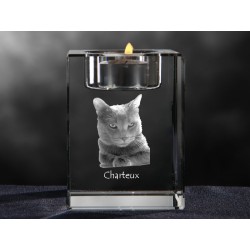 Chartreux, araña de cristal con el gato, recuerdo, decoración, edición limitada, ArtDog