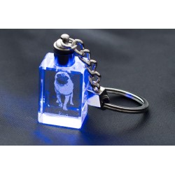 Carlin, chien de cristal Porte-clés, Porte-clés, de haute qualité, cadeau exceptionnel