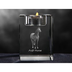 Cavallo arabo, lampadario di cristallo, souvenir, decorazione, in edizione limitata, ArtDog