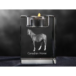 Canadian horse, Kristall-Kerzenleuchter, Souvenir, Dekoration, limitierte Auflage, ArtDog