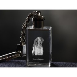 Bracco Italiano, Dog Crystal Keyring, Keychain, High Quality, Exceptional Gift