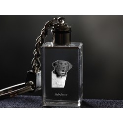 Stabyhoun, Dog Crystal Keyring, Keychain, High Quality, Exceptional Gift