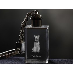 Welsh Terrier, chien de cristal Porte-clés, Porte-clés, de haute qualité, cadeau exceptionnel