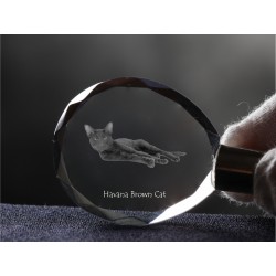 Havana Brown, chat de cristal Porte-clés, Porte-clés, de haute qualité, cadeau exceptionnel