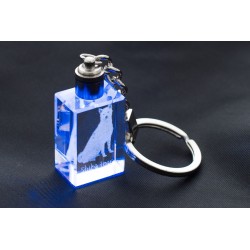 Shiba Inu, Hund Kristall Schlüsselbund, Schlüsselbund, Hohe Qualität, Außergewöhnliche Geschenk