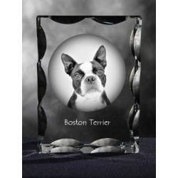 Boston Terrier - kryształowy sześcian z wizerunkiem psa, wyjątkowy prezent!