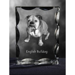 Englische Bulldogge, Kristall mit Hund, Souvenir, Dekoration, limitierte Auflage, ArtDog
