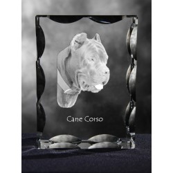 Cane corso italiano, cristallo con il cane, souvenir, decorazione, in edizione limitata, ArtDog