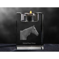 Retired Race Horse, araña de cristal con el gato, recuerdo, decoración, edición limitada, ArtDog