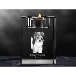 Biewer Terrier, crystal candlestick with dog, souvenir, decoration, limited edition, Collection