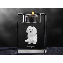 Bolognese, crystal candlestick with dog, souvenir, decoration, limited edition, Collection