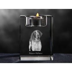 Bracco Italiano, crystal candlestick with dog, souvenir, decoration, limited edition, Collection