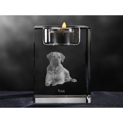Tosa, Kristall-Kerzenleuchter mit Hund, Souvenir, Dekoration, limitierte Auflage, ArtDog