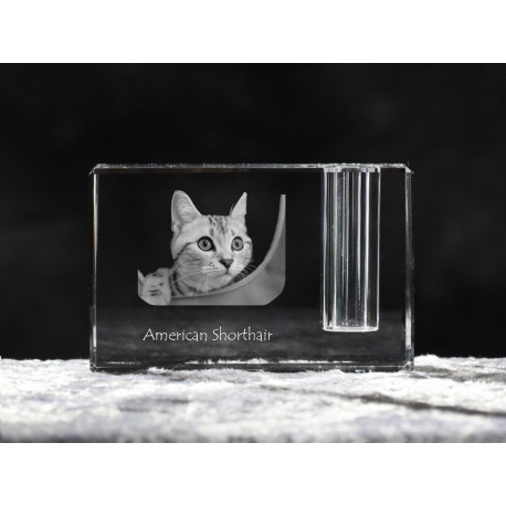 American shorthair, Stifthalter mit Katze, Souvenir, Dekoration, limitierte Auflage, ArtDog