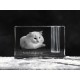 Turkish Angora, crystal pen holder with cat, souvenir, decoration, limited edition, Collection