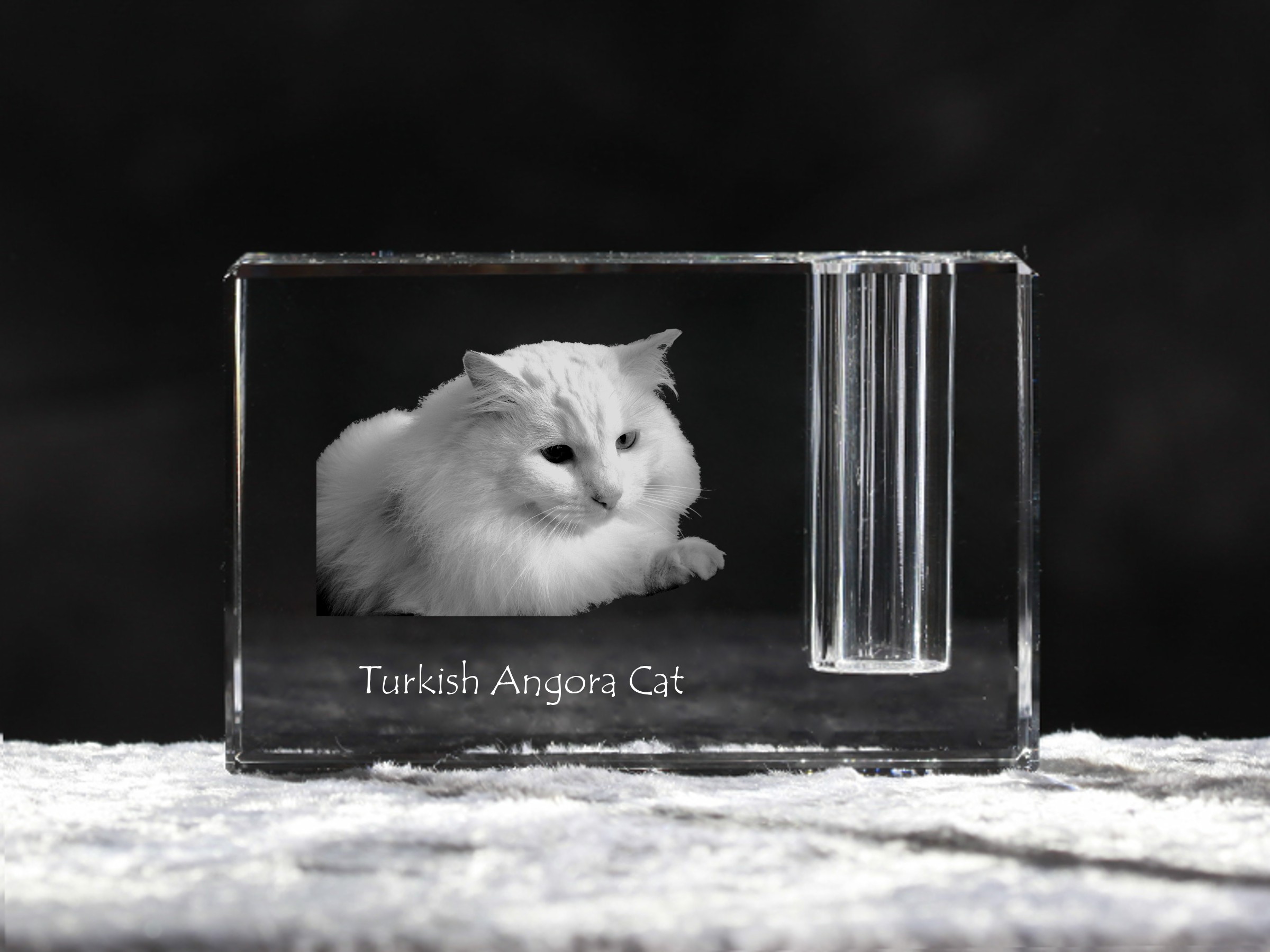 Gatto d'Angora, porta penna di cristallo con il gatto, souvenir,  decorazione, in edizione limitata, ArtDog - Crystal Animals