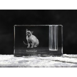 Burmés, Titular de la pluma de cristal con el gato, recuerdo, decoración, edición limitada, ArtDog